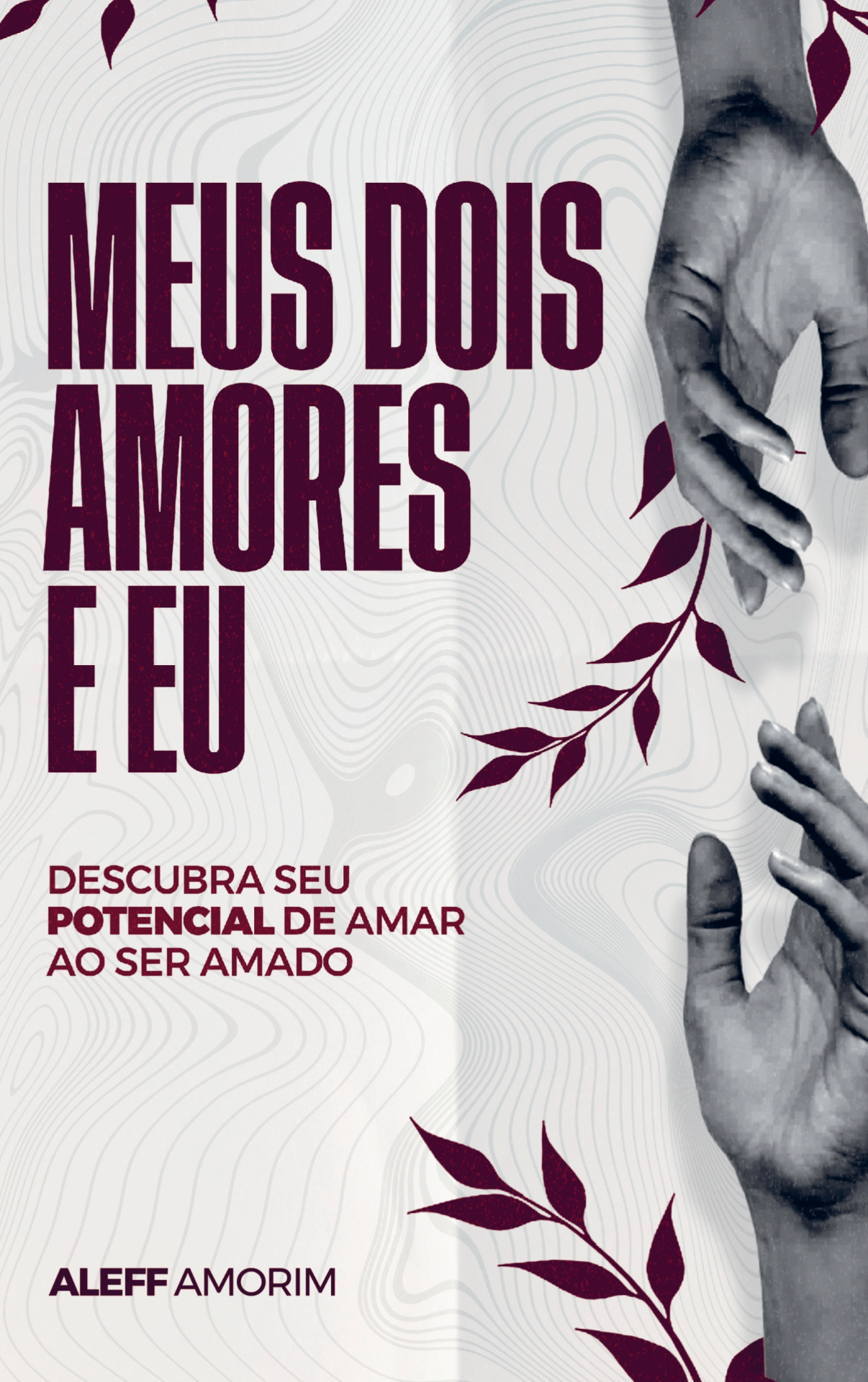 Capa do livro Meus Dois Amores e Eu